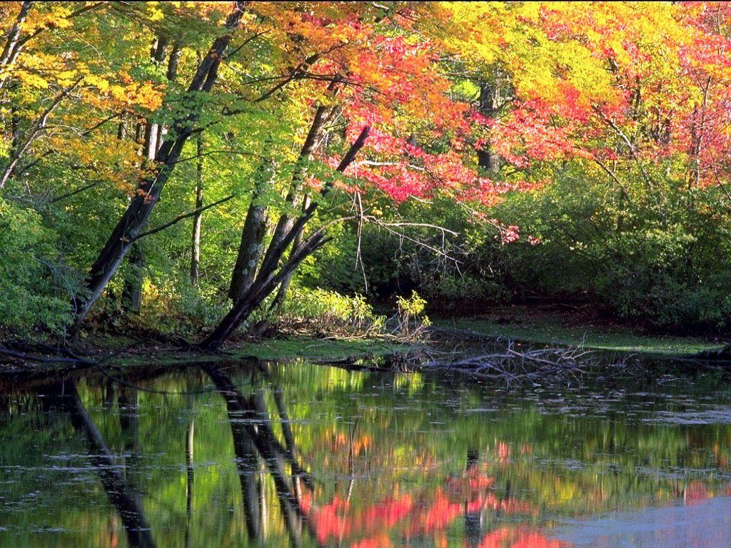 Fonds d'cran Nature Fleuves - Rivires - Torrents 