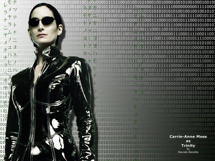 Fonds d'cran Cinma Matrix 2 Reloaded Wallpaper N29798