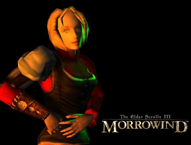 Wallpapers Video Games The Elder Scrolls III : Morrowind Wallpaper N33562