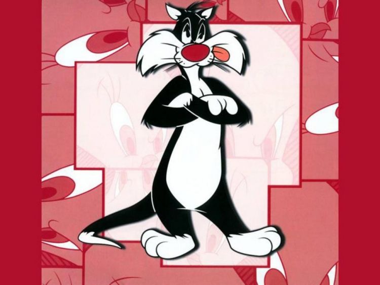 Fonds d'cran Dessins Anims Looney Tunes Wallpaper N30229