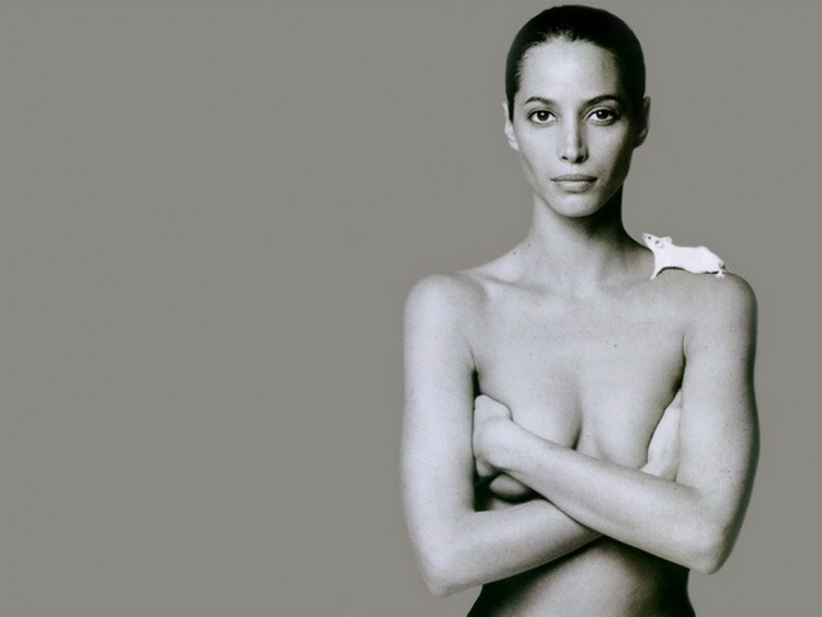 Wallpapers Celebrities Women Christy Turlington Wallpaper N55595