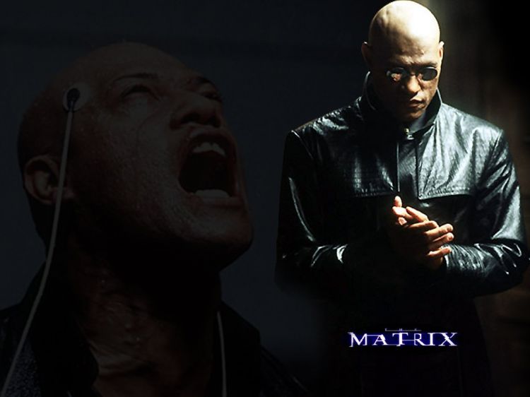 Fonds d'cran Cinma Matrix 1 Wallpaper N26218