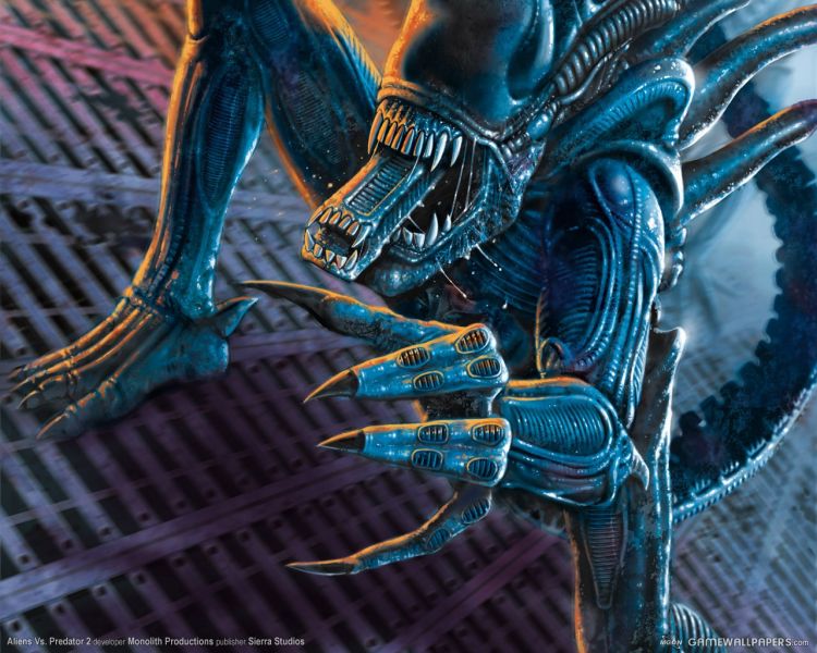 Fonds d'cran Jeux Vido Alien Vs Predator 2 Wallpaper N31032