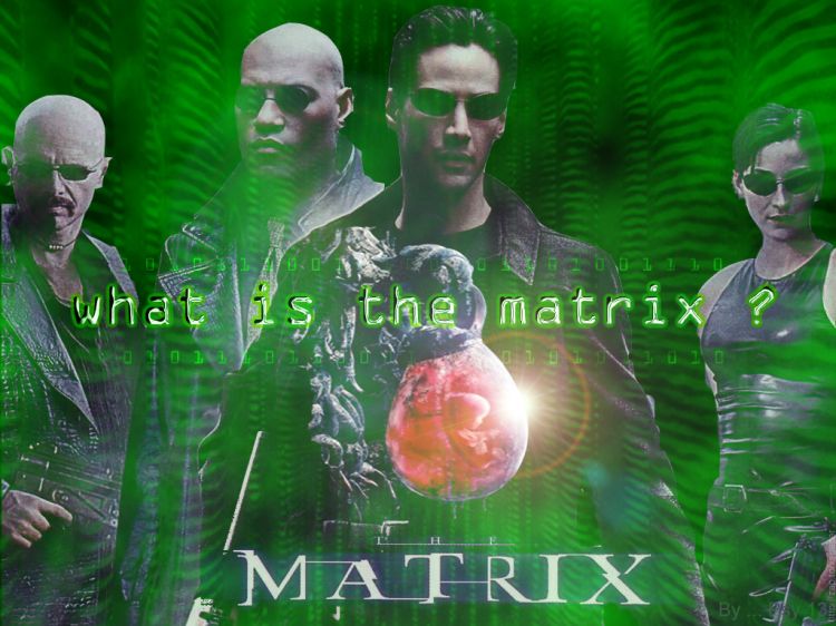 Fonds d'cran Cinma Matrix 1 Matrix