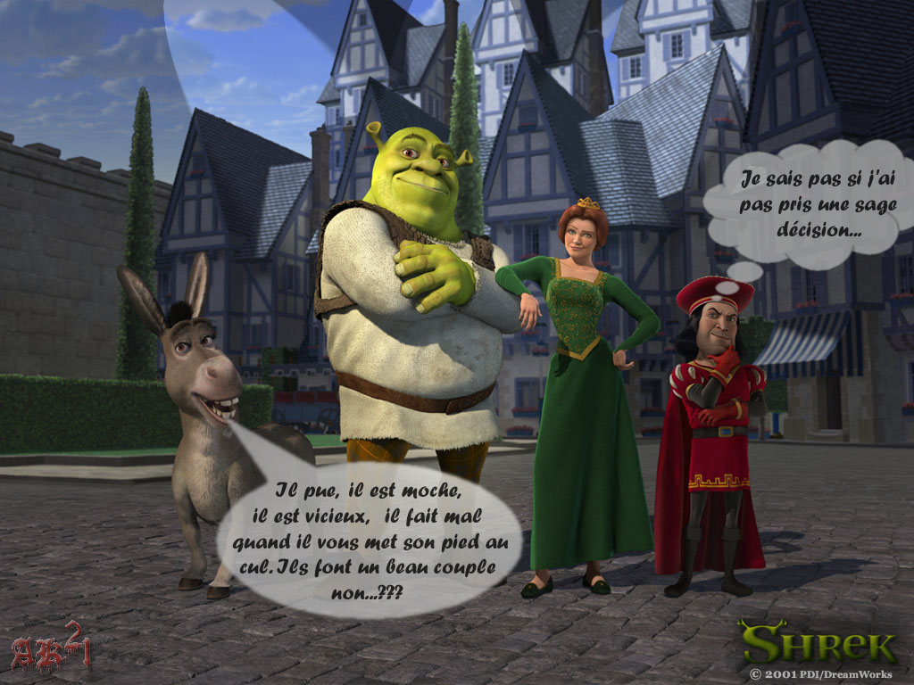 Fonds d'cran Dessins Anims Shrek Joli couple