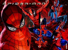 Wallpapers Movies spidy!