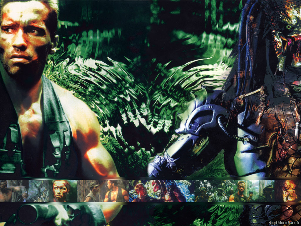 Wallpapers Movies Predator 