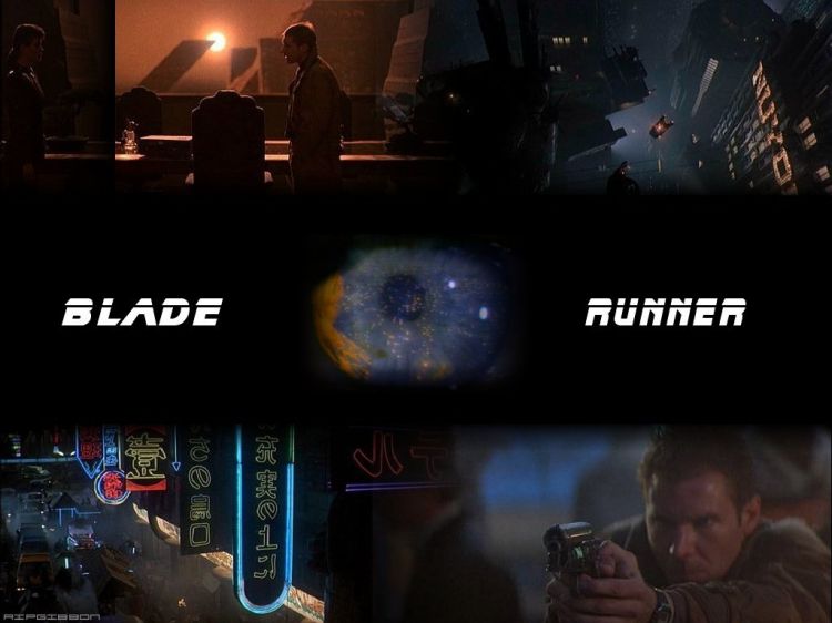 Fonds d'cran Cinma Blade Runner Wallpaper N73