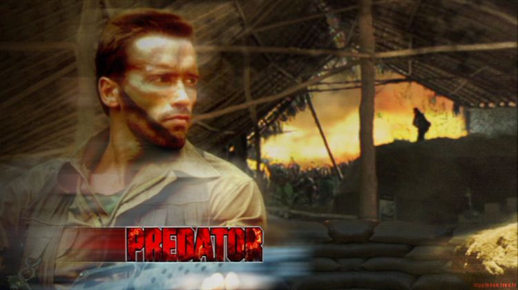 Wallpapers Movies Predator Wallpaper N78