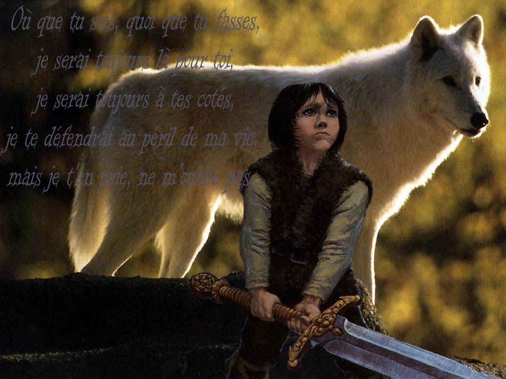 Wallpapers Animals Wolves Thorgal Loup