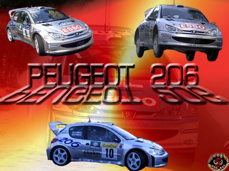 Fonds d'cran Sports - Loisirs Rallye peugeot 206 rallye