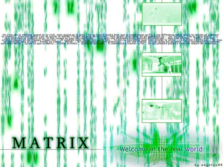 Wallpapers Digital Art Abstract The Matrix has you Neo...