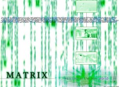 Wallpapers Digital Art The Matrix has you Neo...