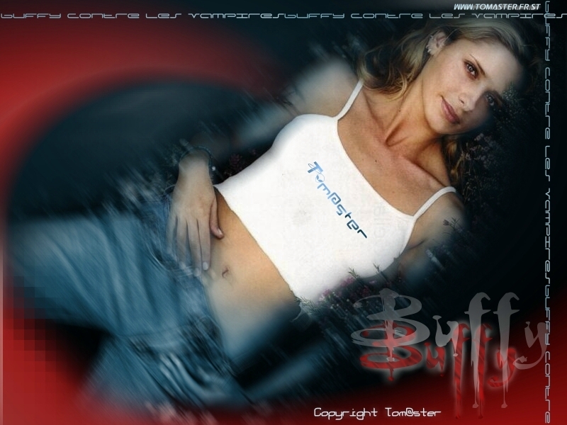 Fonds d'cran Clbrits Femme Sarah Michelle Gellar )> Buffy in the web <(