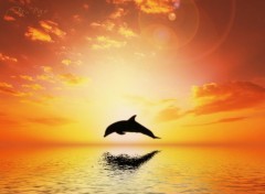 Fonds d'cran Art - Numrique Dolphins Dream