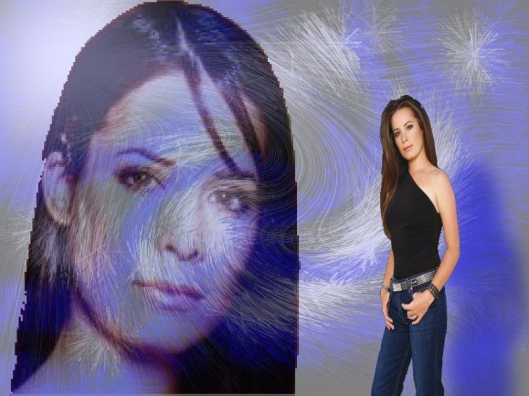 Wallpapers Celebrities Women Holly Marie Combs Holly Marie Combs