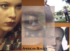 Fonds d'cran Cinma American Beauty