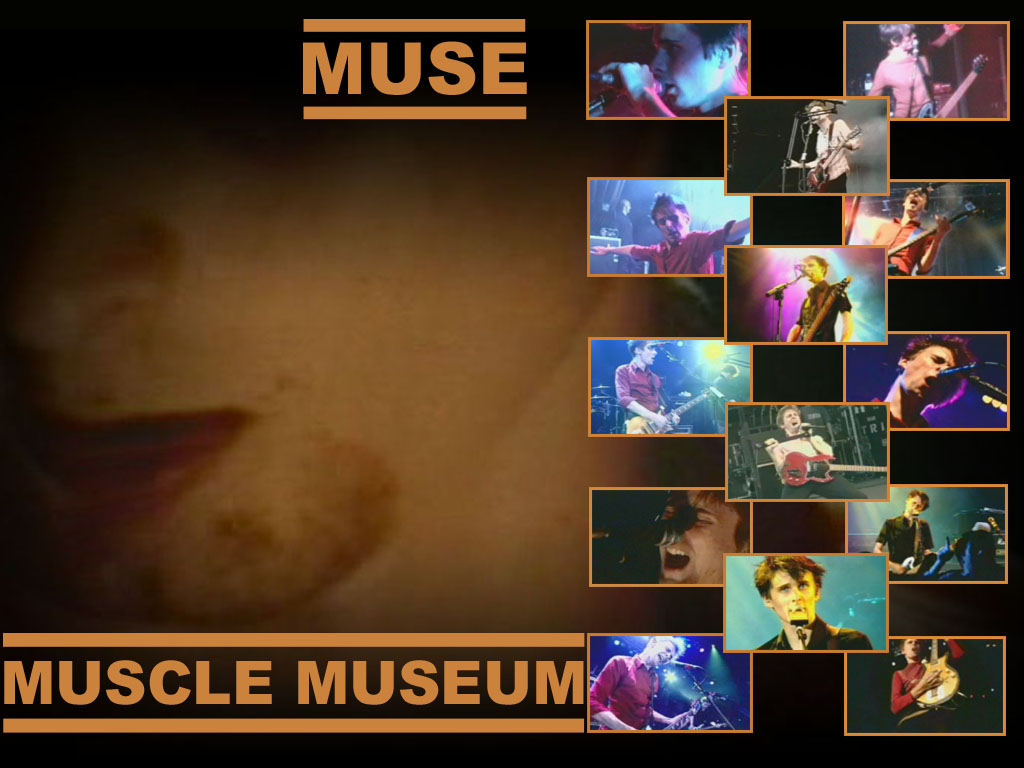 Wallpapers Music Muse muscle museum