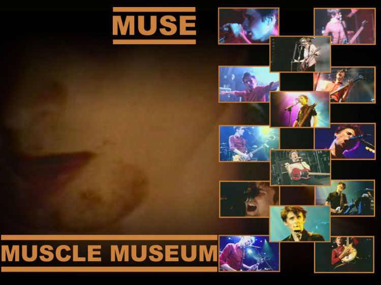 Fonds d'cran Musique Muse muscle museum