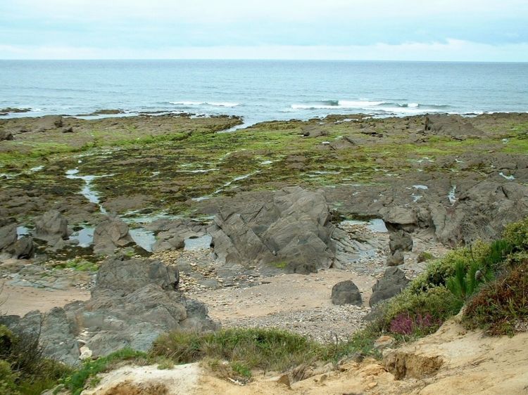 Fonds d'cran Nature Mers - Ocans - Plages Cte Atlantique