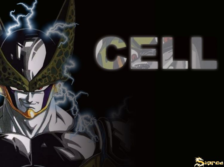 Fonds d'cran Manga Dragon Ball Z CELL TRIBUTE