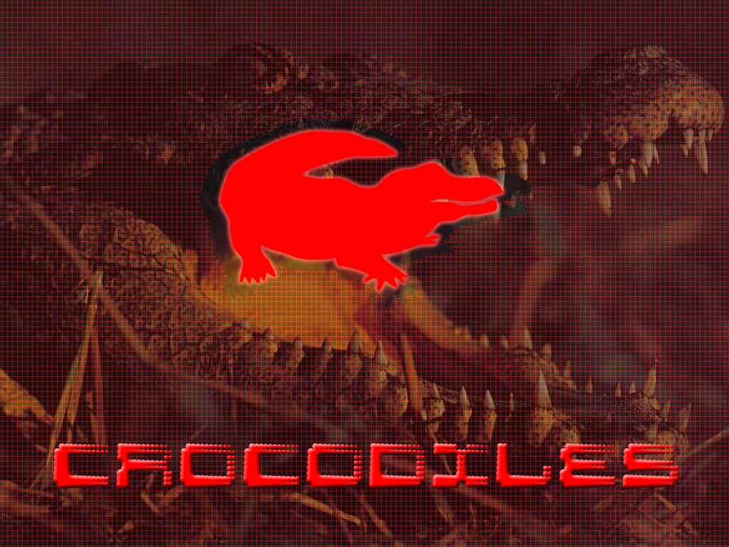 Wallpapers Animals Crocodile - Alligator - Caiman Croco