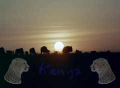 Wallpapers Digital Art Hommage au Kenya