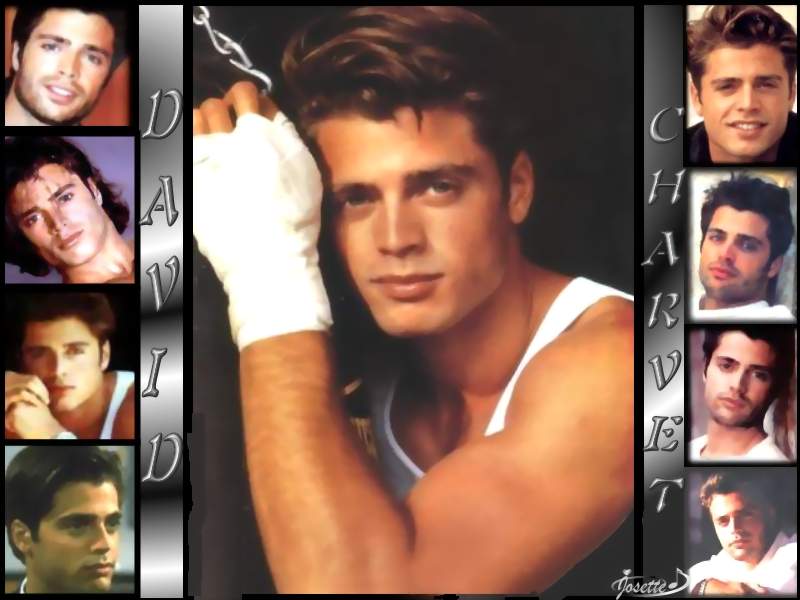 Wallpapers Music David Charvet 