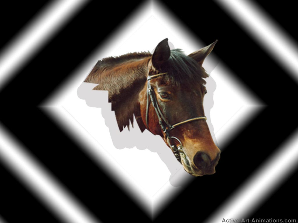 Wallpapers Animals Horses Sarouman