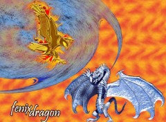 Fonds d'cran Art - Numrique phenix et dragon fenixdragon