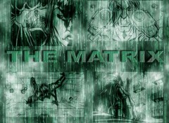 Fonds d'cran Cinma The Matrix Bd By Garlic v2.0