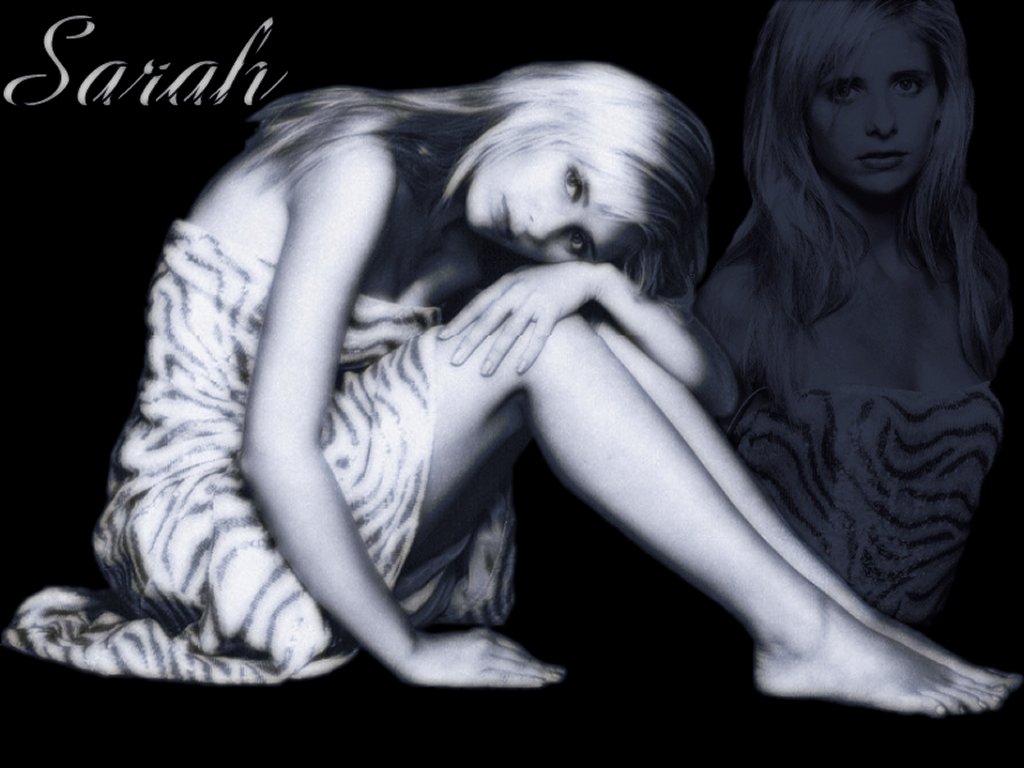 Wallpapers Celebrities Women Sarah Michelle Gellar Beautiful Sarah