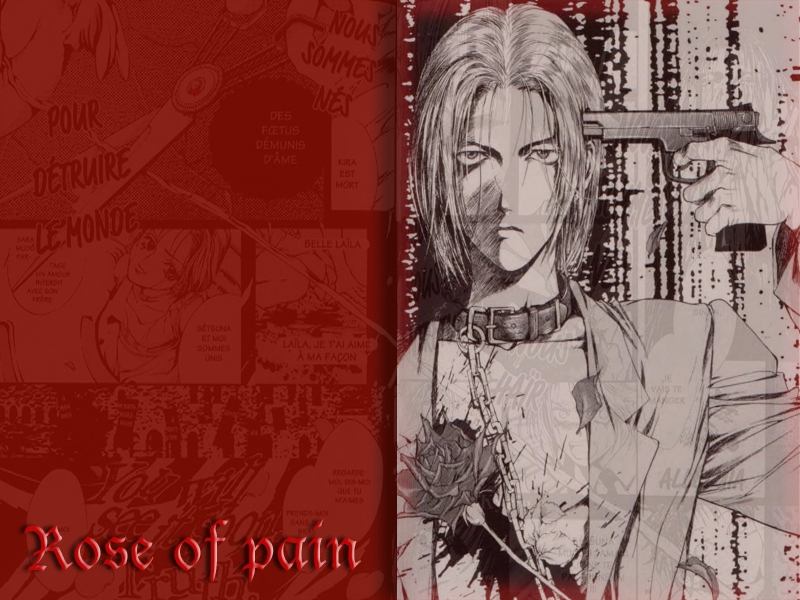 Wallpapers Manga Angel Sanctuary Rose of pain