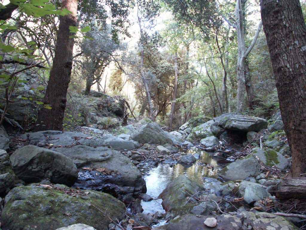 Fonds d'cran Nature Fleuves - Rivires - Torrents Rivire du Cap Corse