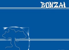 Wallpapers Digital Art BONZAAAAAAAAAAAAAI