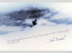 Wallpapers Digital Art Jules Renard