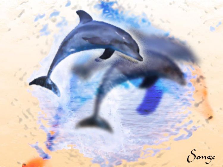 Wallpapers Animals Sealife - Dolphins Dream