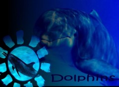 Wallpapers Digital Art Dolphins