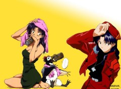 Wallpapers Cartoons  Katsuragi Misato01