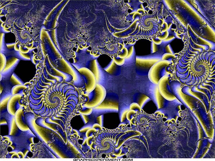 Wallpapers Digital Art Fractals, Kaleidoscope Coquillages