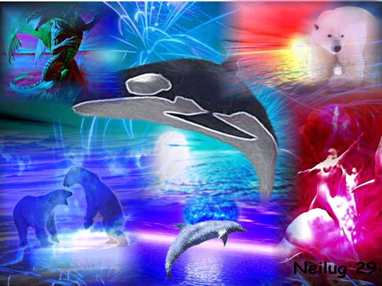 Wallpapers Digital Art Animals Best Of