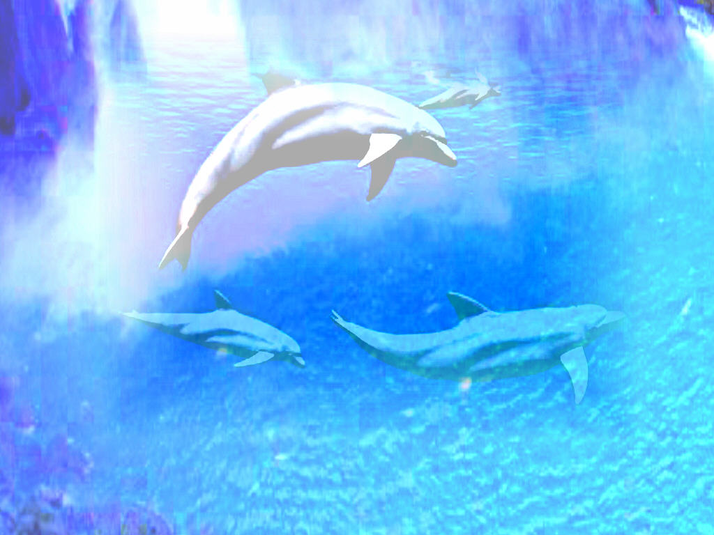 Wallpapers Digital Art Animals Aquadream