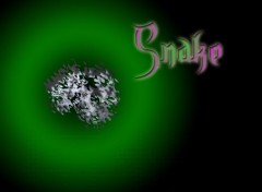 Wallpapers Digital Art Snake Mosaque