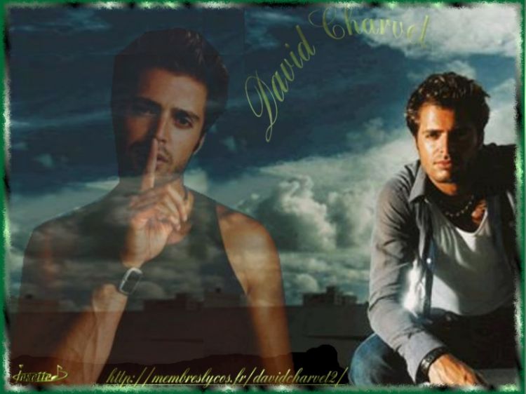 Fonds d'cran Musique David Charvet Wallpaper N3993