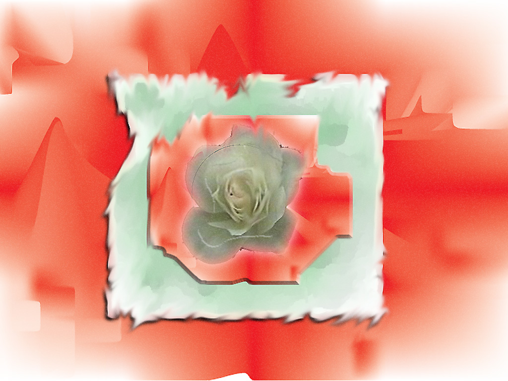 Wallpapers Digital Art Abstract Rose blanche