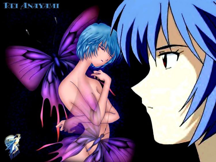 Wallpapers Cartoons Evangelion Rei Anayami