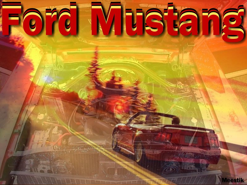 Fonds d'cran Voitures Mustang Ford Mustang