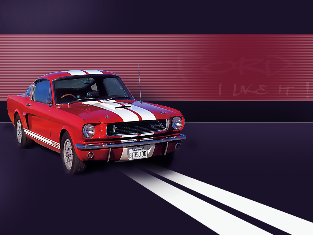 Wallpapers Cars Ford i like it !!