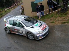 Fonds d'cran Sports - Loisirs 206 wrc