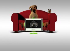 Wallpapers Digital Art Loves Animals